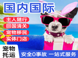 长安空运公司国际宠物托运 【国
